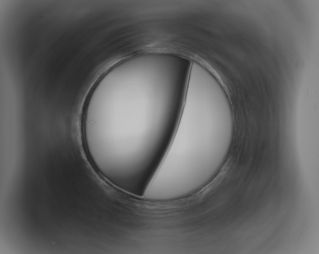 X0000102391434200808010925