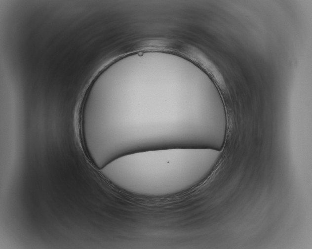 X0000102391435200808010925