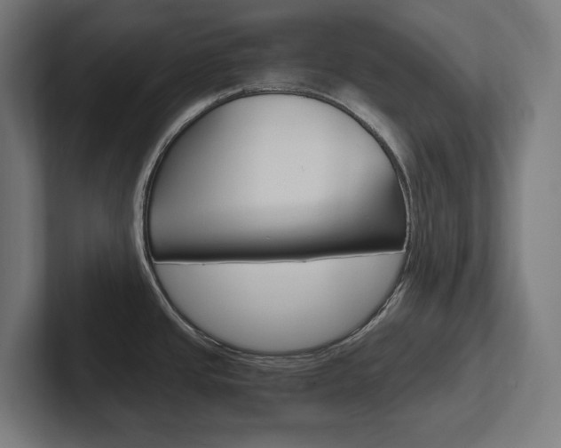 X0000102391437200808010925