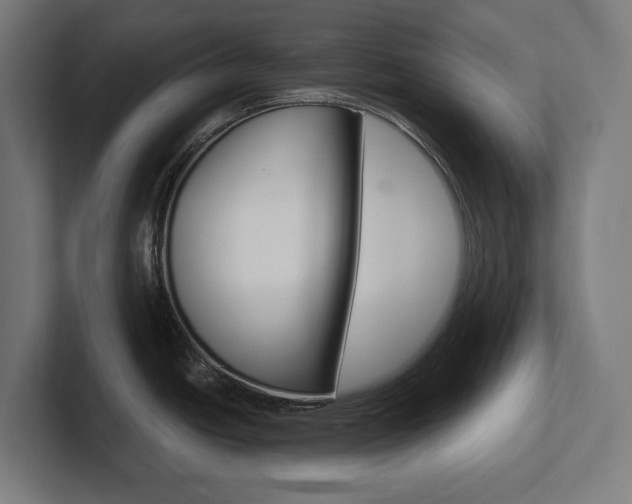 X0000102391438200808010925