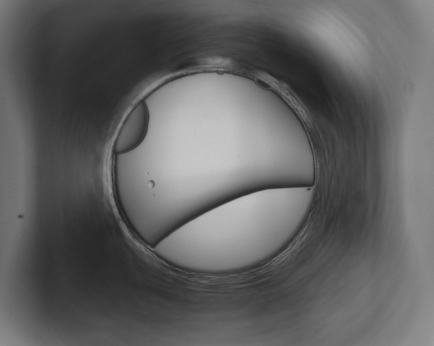 X0000102391439200808010925