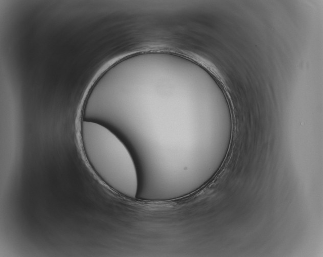 X0000102391440200808010925