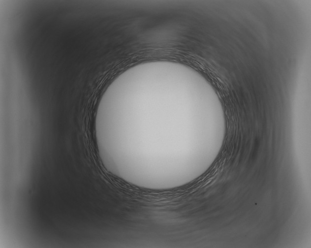 X0000102391441200808010925