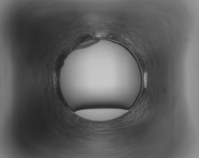 X0000102391443200808010925