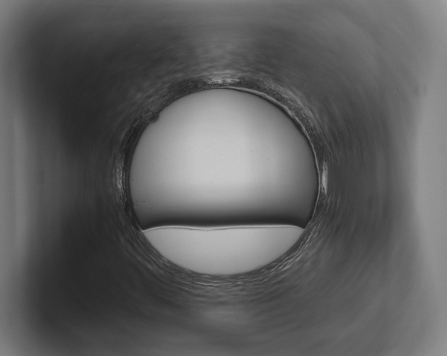 X0000102391444200808010925