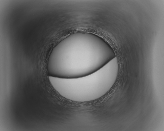 X0000102391445200808010925