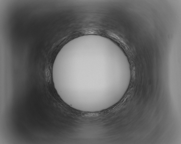 X0000102391446200808010925