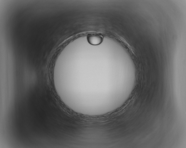 X0000102391448200808010925