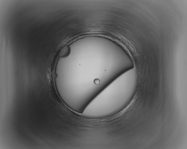 X0000102391449200808010925