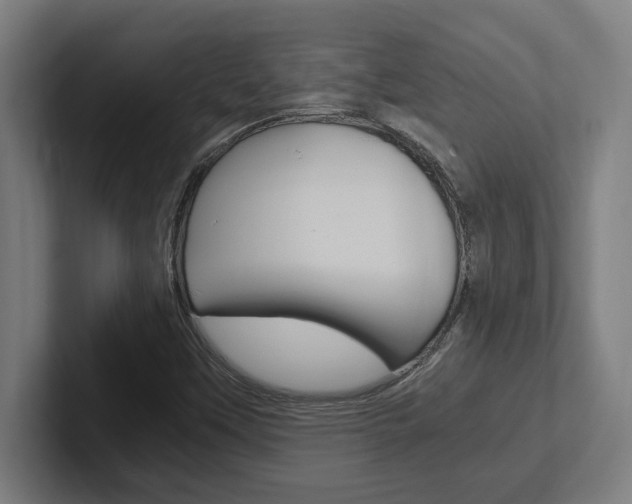 X0000102391451200808010925