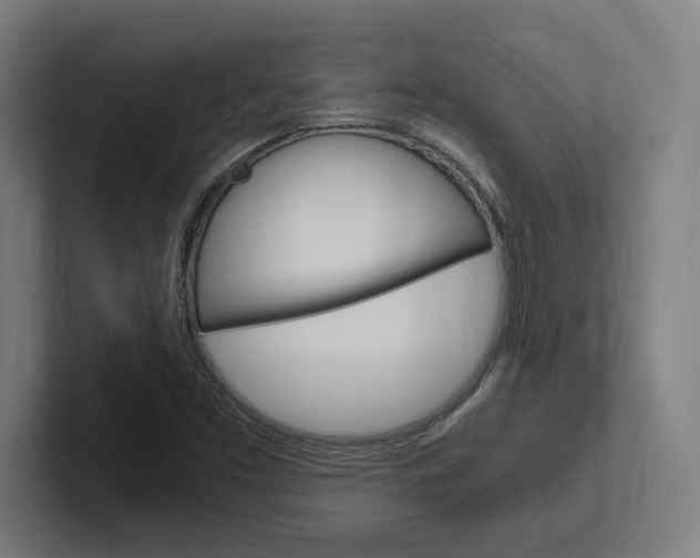 X0000102391453200808010925