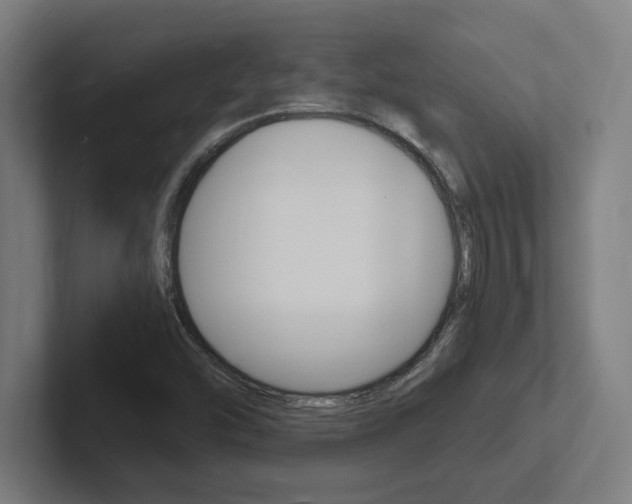 X0000102391454200808010925