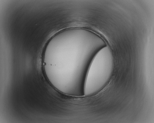 X0000102391459200808010925