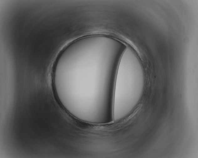 X0000102391463200808010925