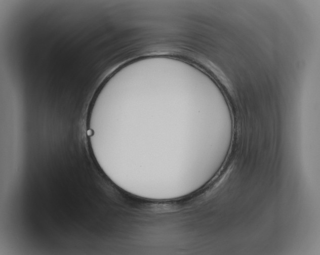 X0000102391465200808010925