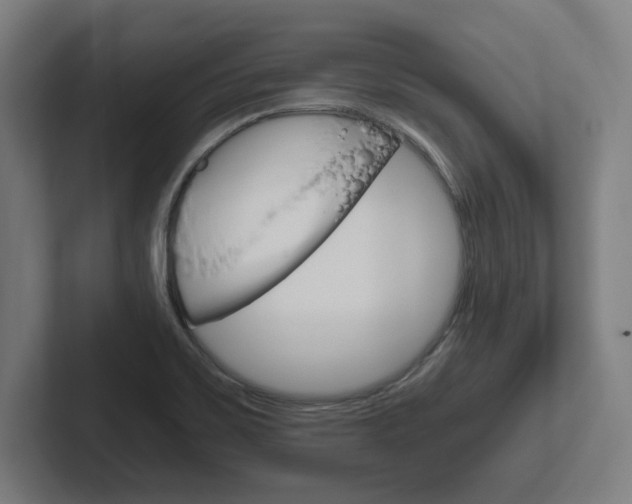 X0000102391467200808010925
