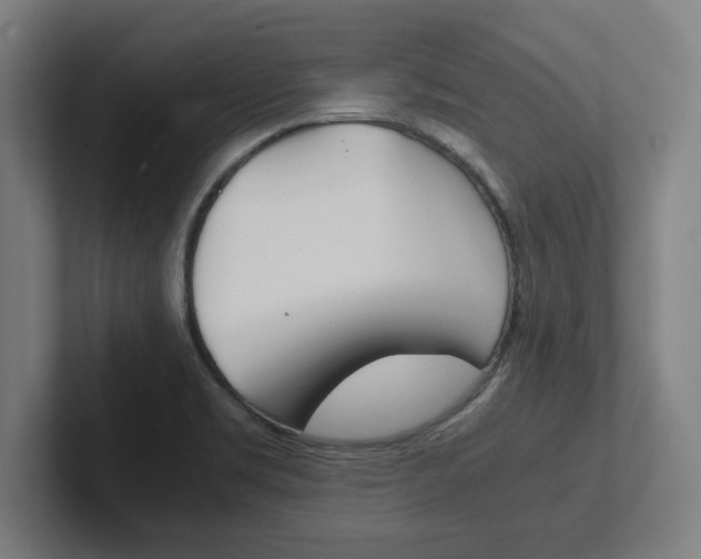 X0000102391469200808010925