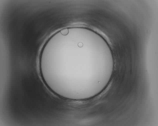 X0000102391470200808010925