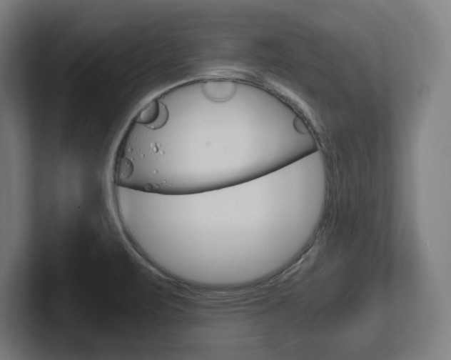 X0000102391471200808010924