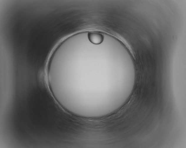 X0000102391472200808010924