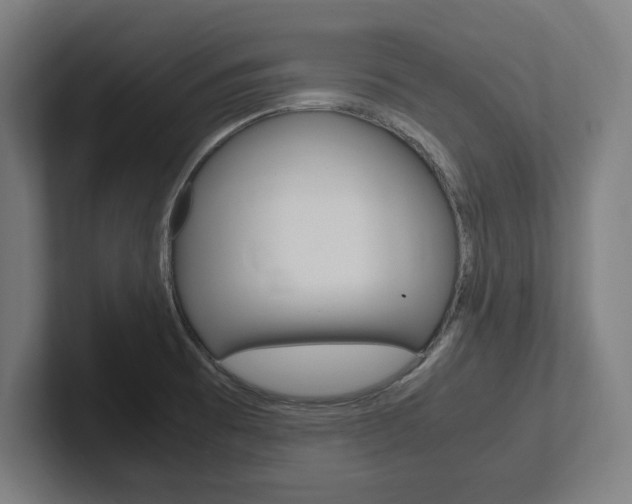 X0000102391473200808010924