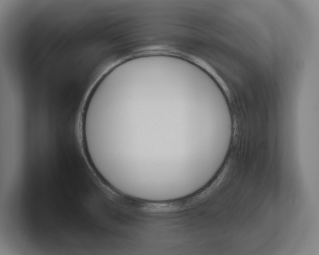 X0000102391474200808010924