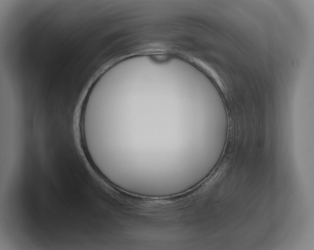 X0000102391475200808010924