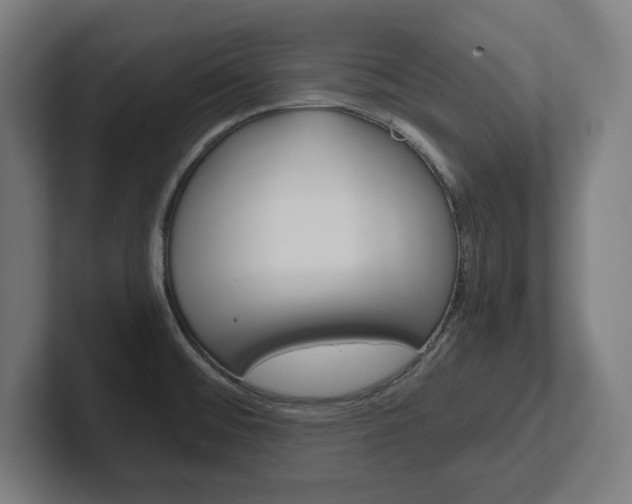 X0000102391476200808010924