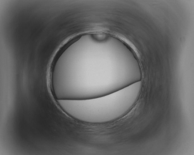 X0000102391477200808010924