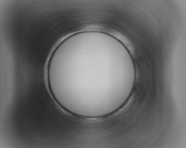 X0000102391478200808010924