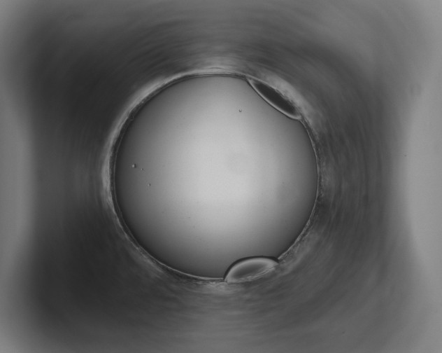 X0000102391480200808010924
