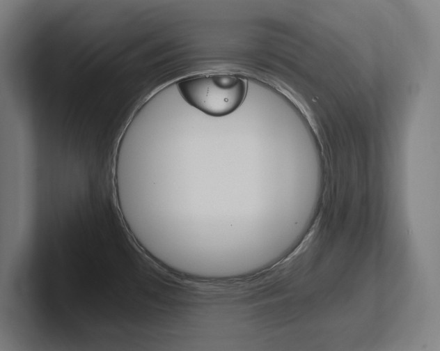X0000102391481200808010924