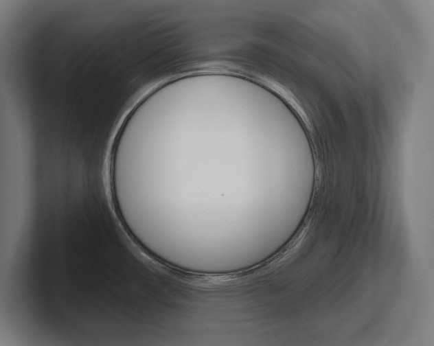 X0000102391482200808010924