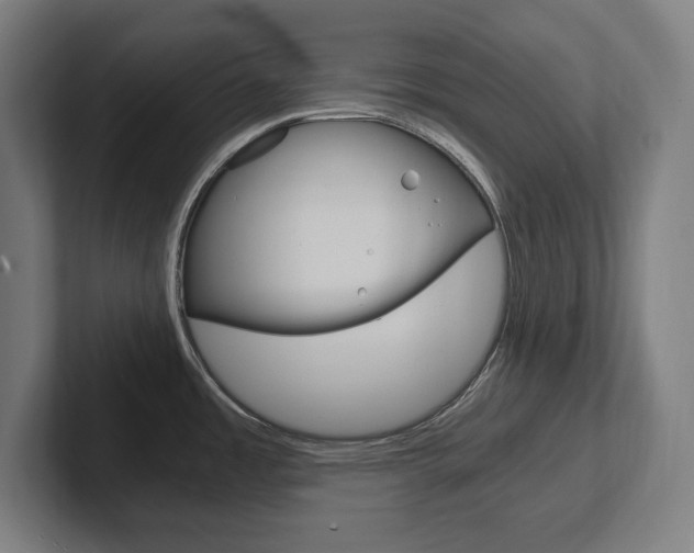 X0000102391485200808010924