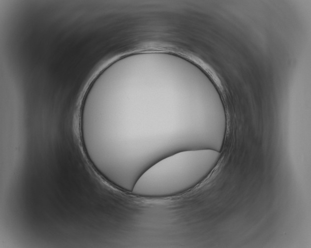 X0000102391486200808010924