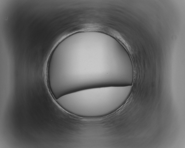 X0000102391487200808010924
