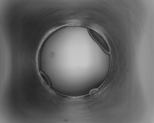 X0000102391488200808010924
