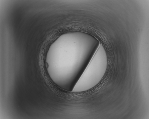 X0000102391489200808010923