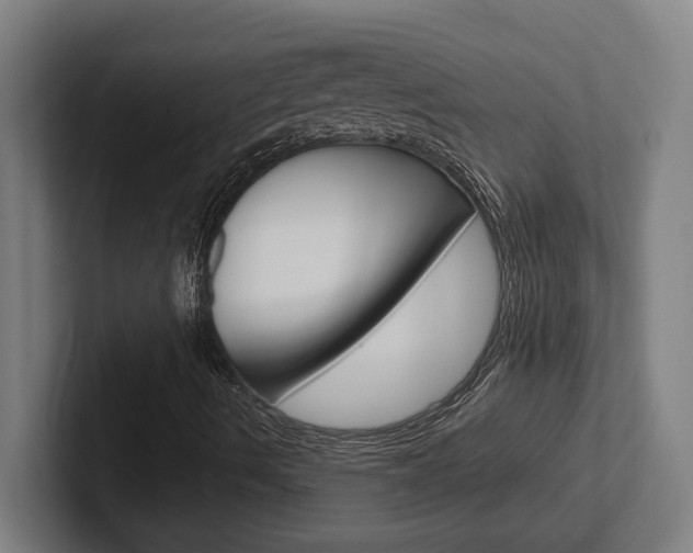 X0000102391490200808010923