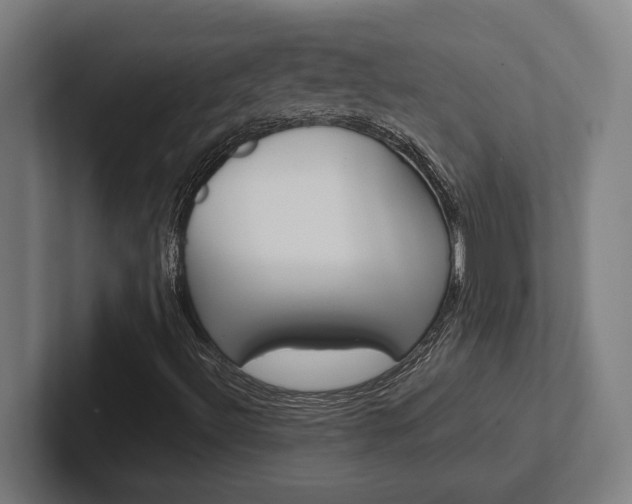 X0000102391492200808010924