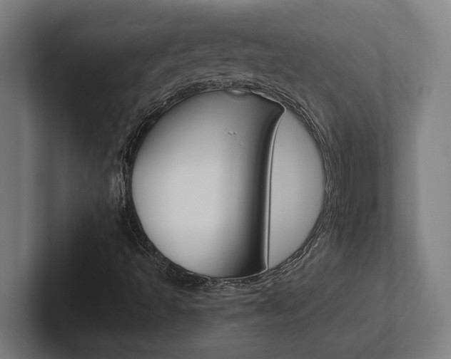X0000102391493200808010924