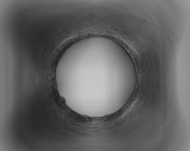 X0000102391494200808010924