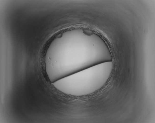 X0000102391496200808010924