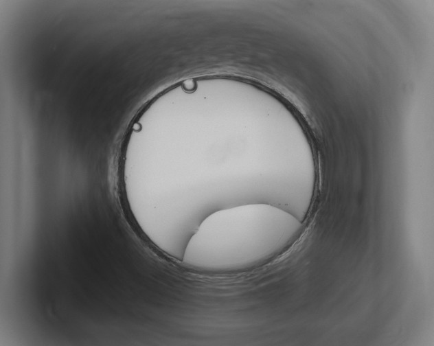 X0000102391500200808010924