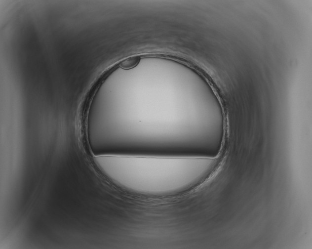 X0000102391501200808010924