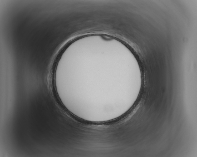 X0000102391502200808010924