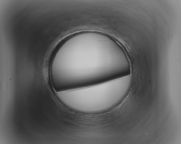 X0000102391503200808010924