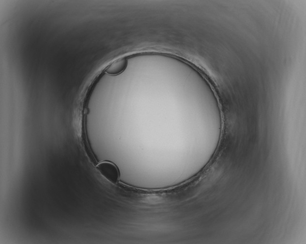 X0000102391504200808010924