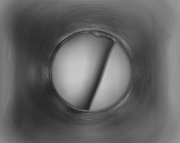 X0000102391505200808010924