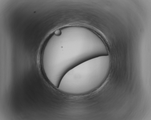 X0000102391506200808010924